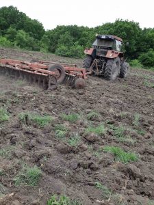 дивечови ниви хасково