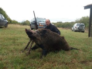 отстрел провадия