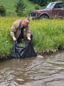 зарибяване девин