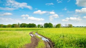 забрана оловните боеприпас