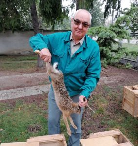 зайци от словакия