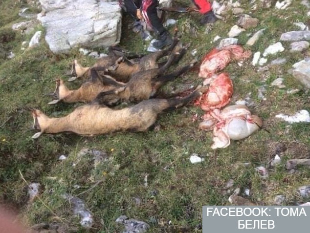 Снимка Facebook:Тома Белев