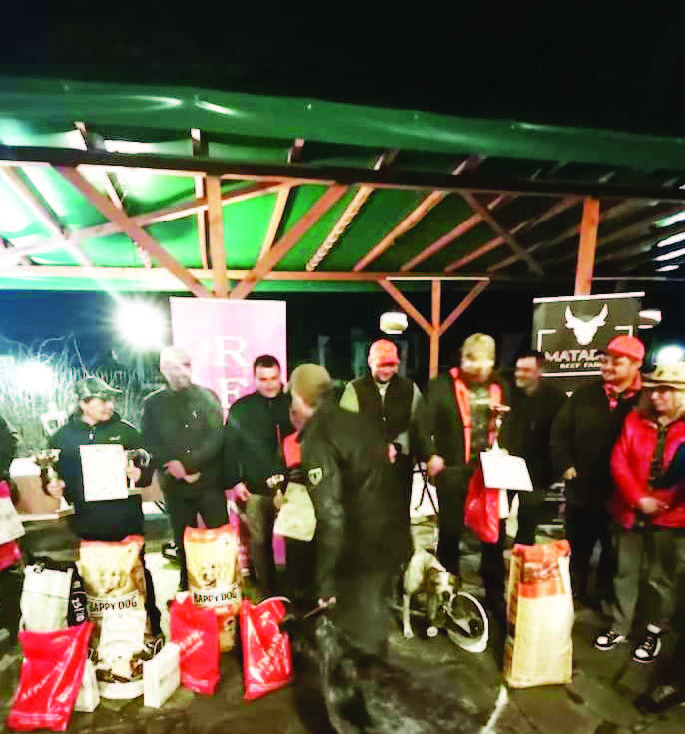 Бесапарските хълмове