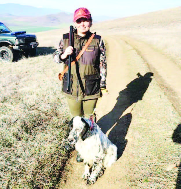 Бесапарските хълмове