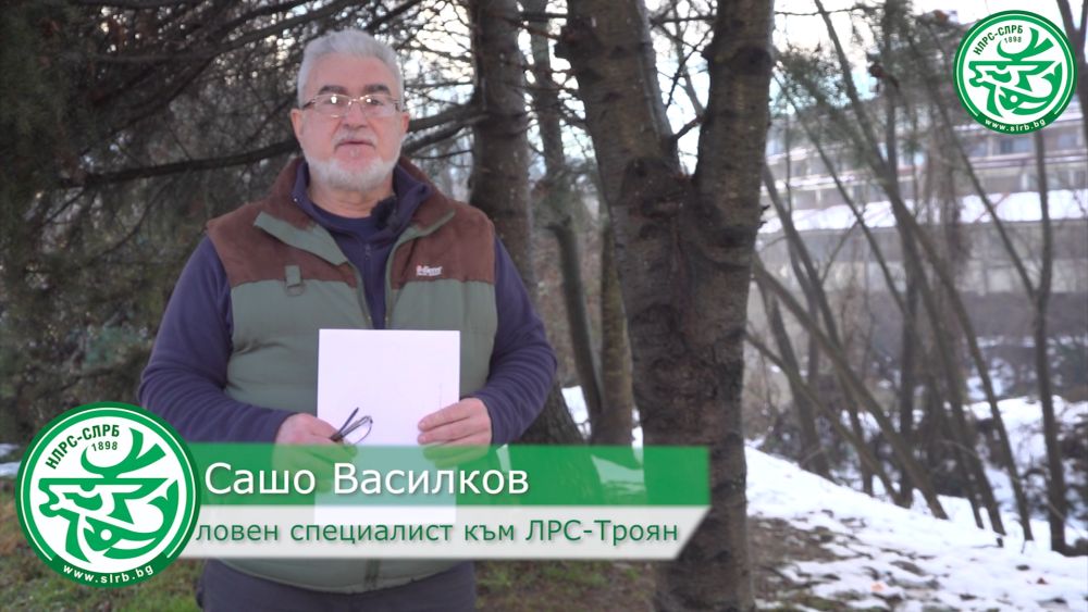 троян подхранване