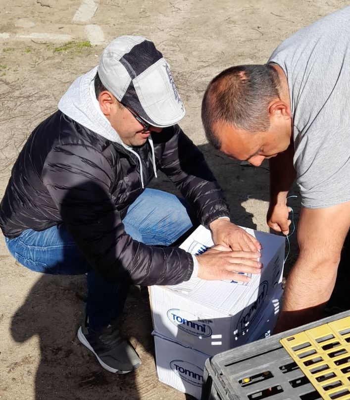 пазарджик яребици