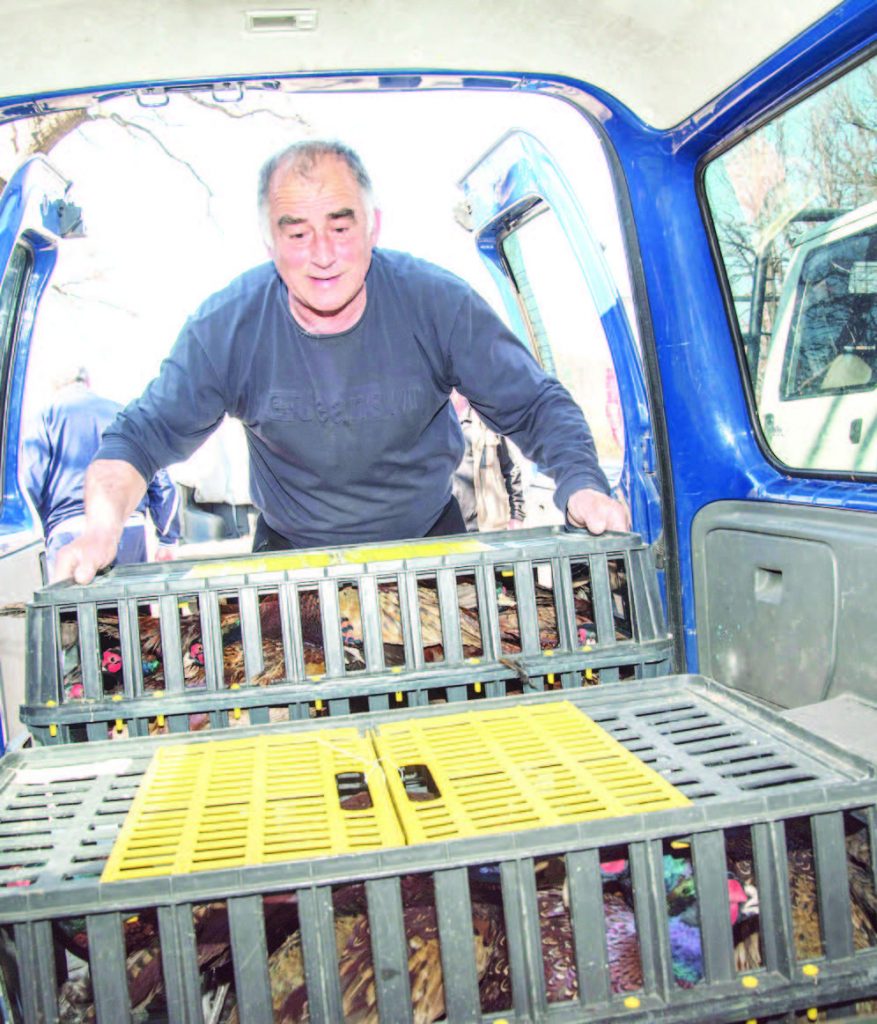 разселване пернати хасково