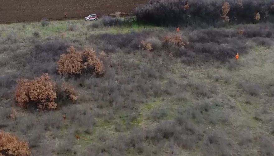 карнобат чакала