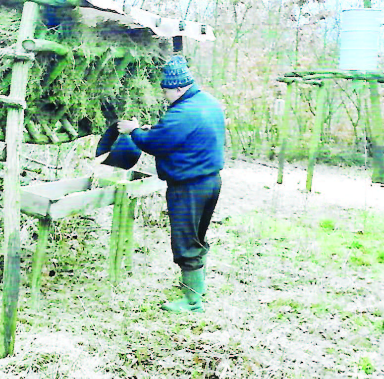 суворово подхранване