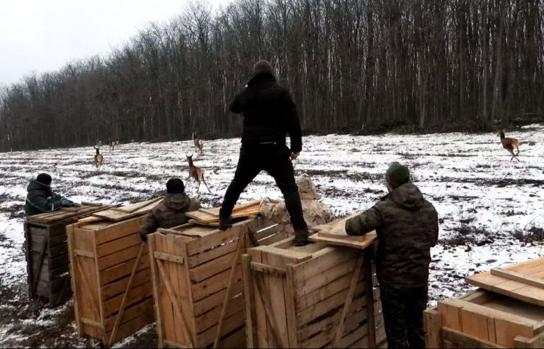 събрание тервел