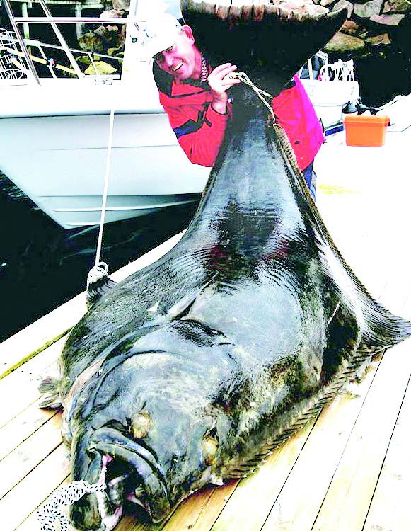 палтуси норвегия