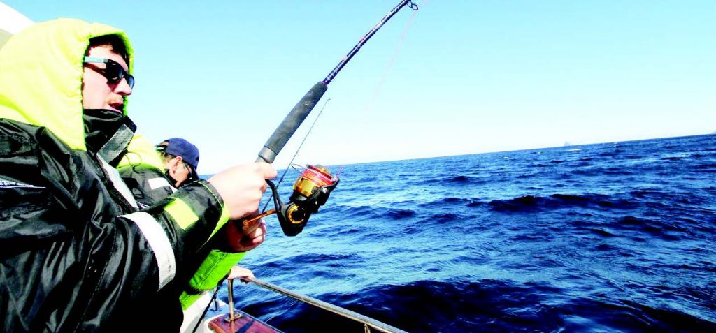 палтуси норвегия