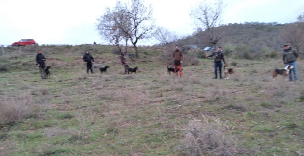 кресна състезание гончета