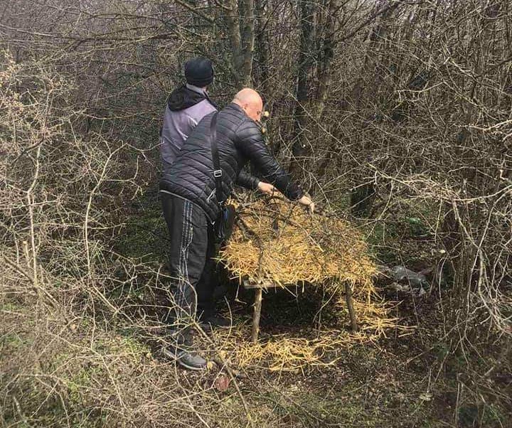 разселване монтана