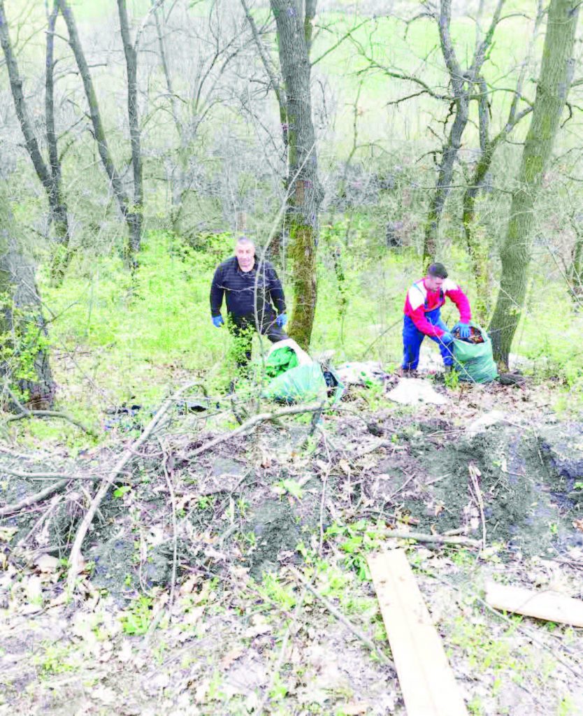 голямо асеново почистване