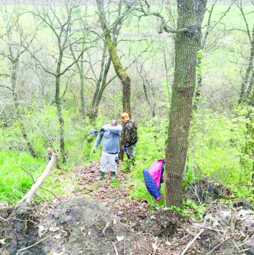 голямо асеново почистване