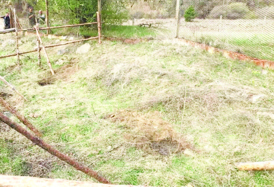 ловците гората