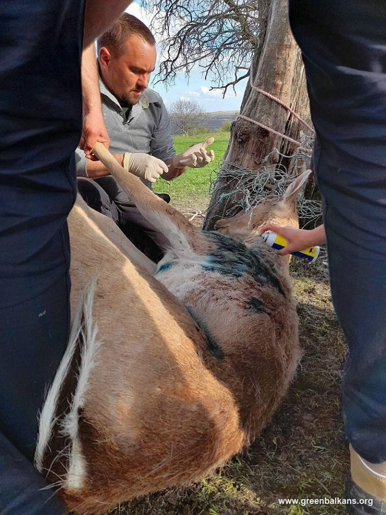 студенти лопатар