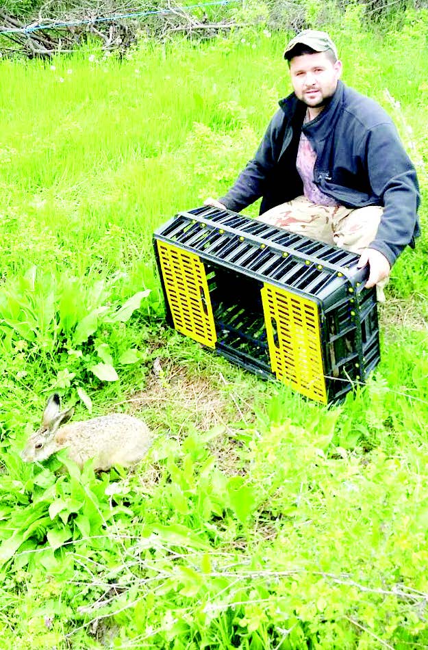 пещера зайци