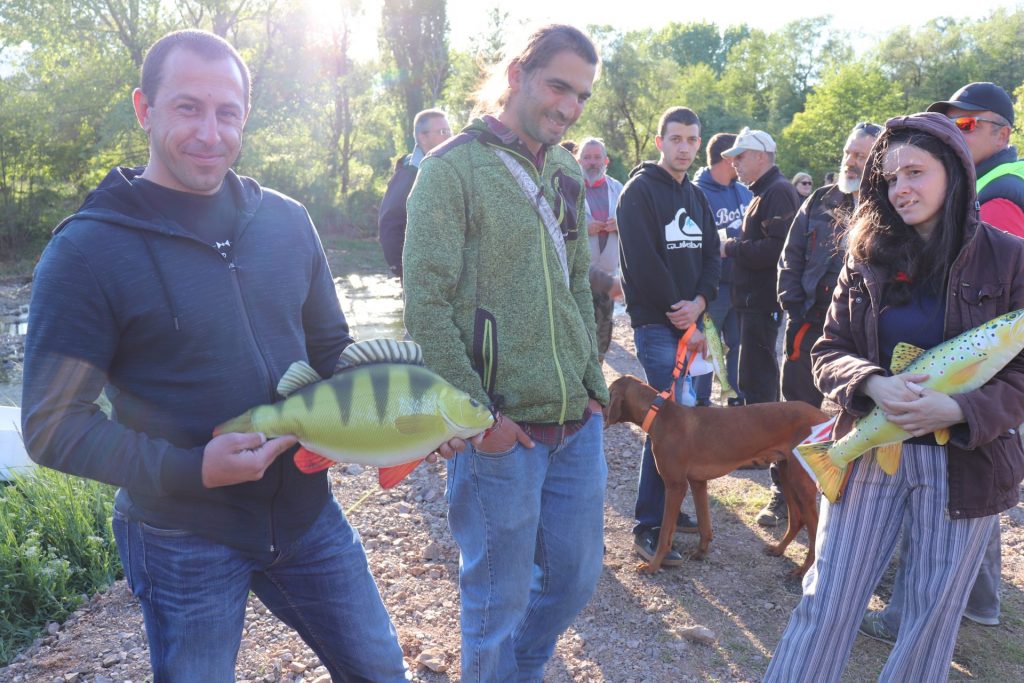 басейнова дирекция