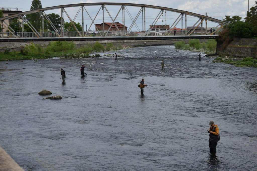 вец протест