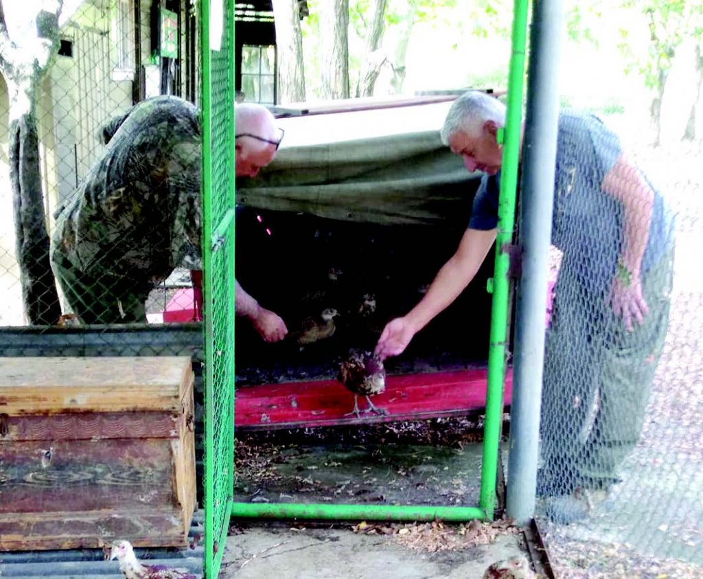 велико търново събрания