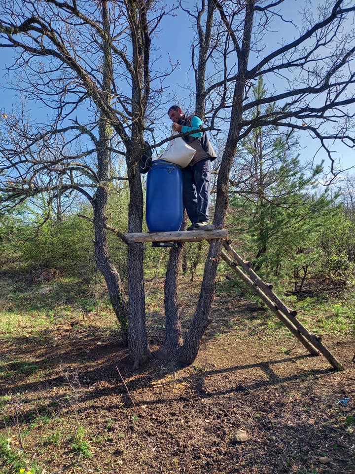 ниви радомир