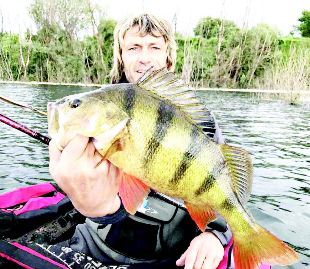 риби дървета