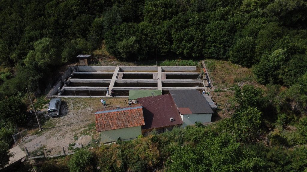 Рибовъдно стопанство