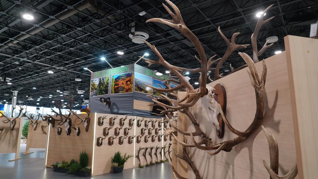 в едно с природата