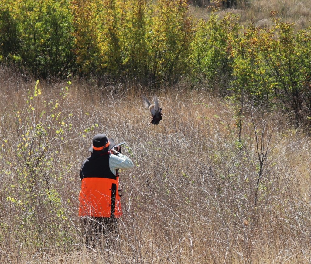 победители лрс-кнежа