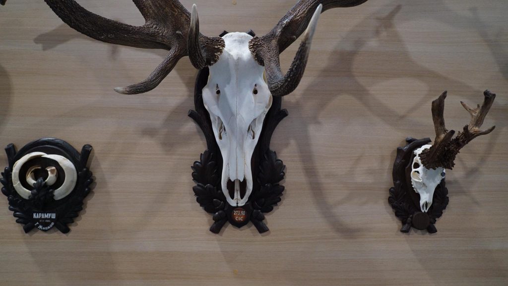 в едно с природата