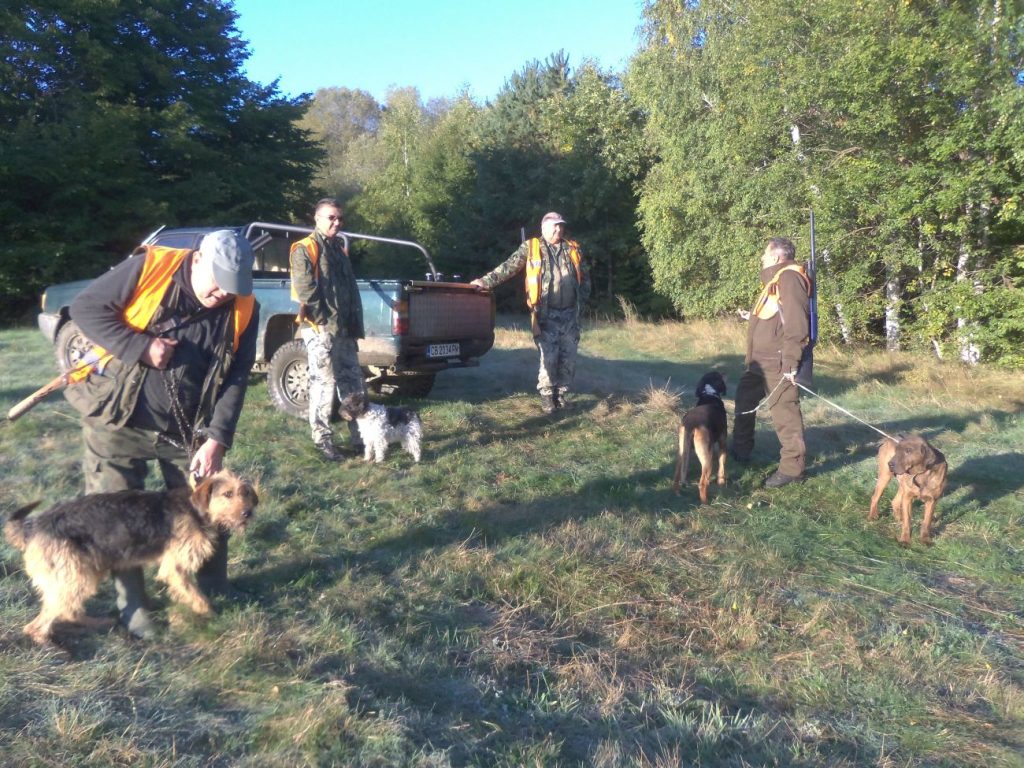 ярлово сезон