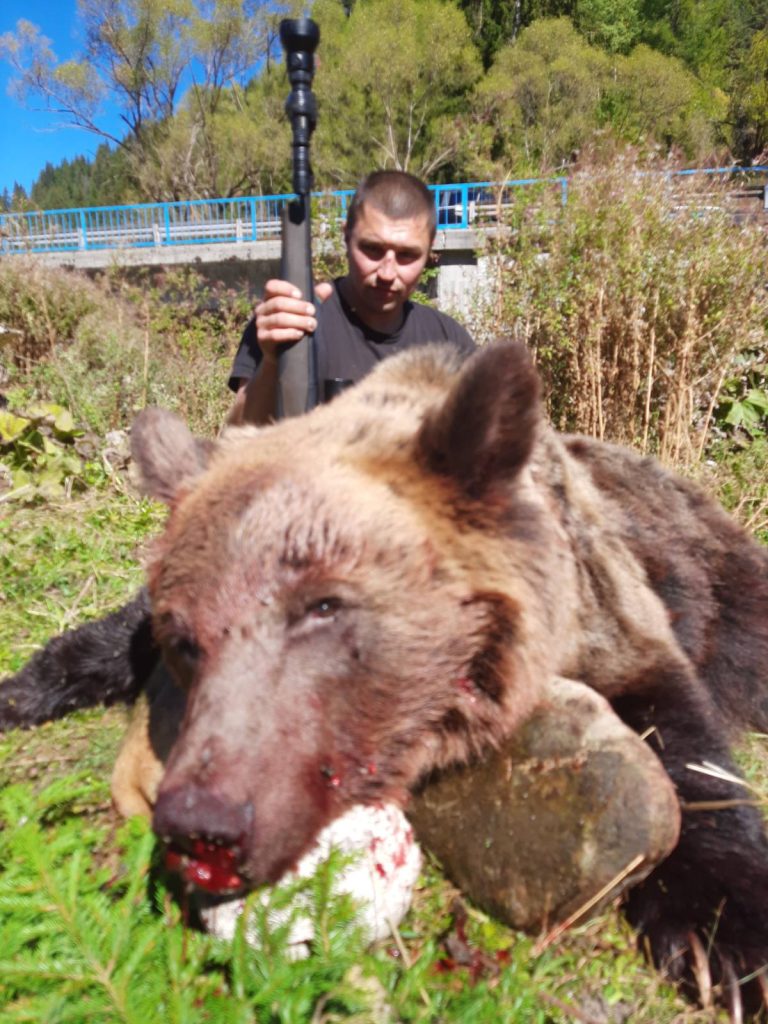 мечка триград