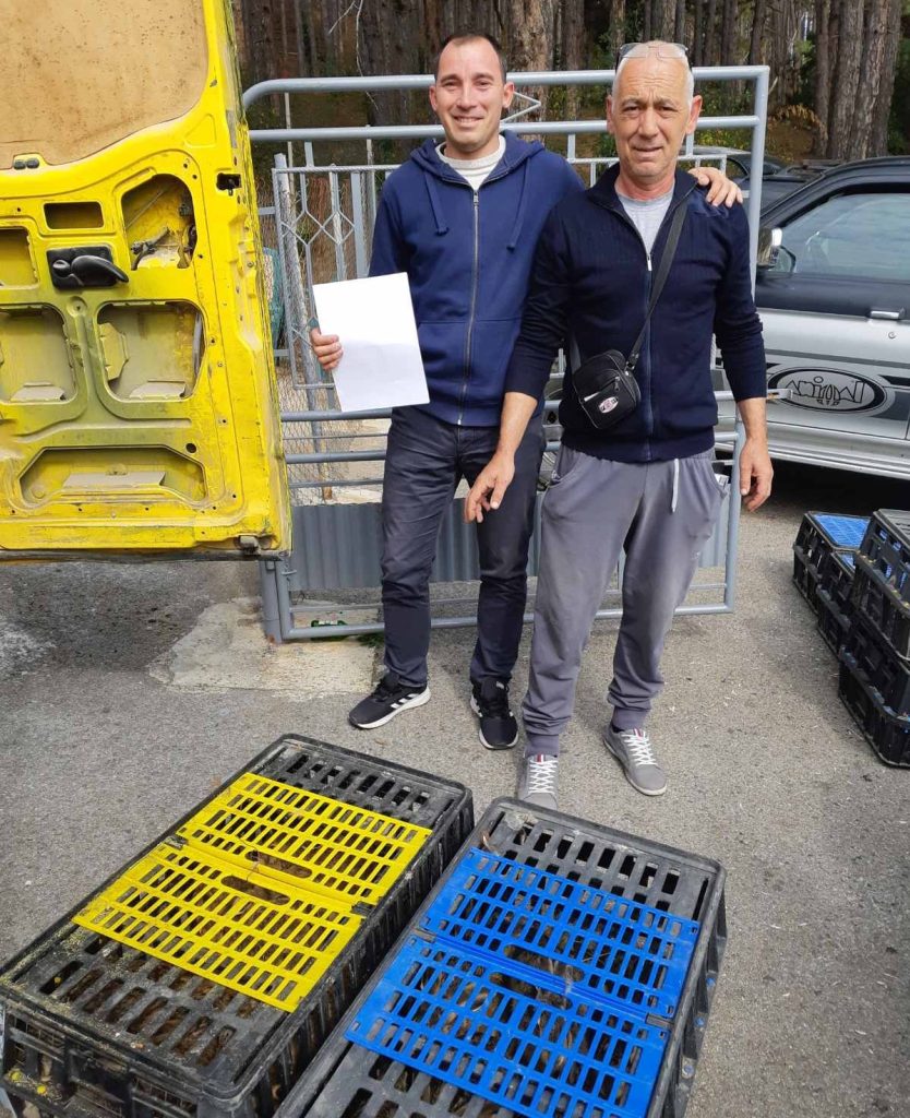 годеч разселване зайци