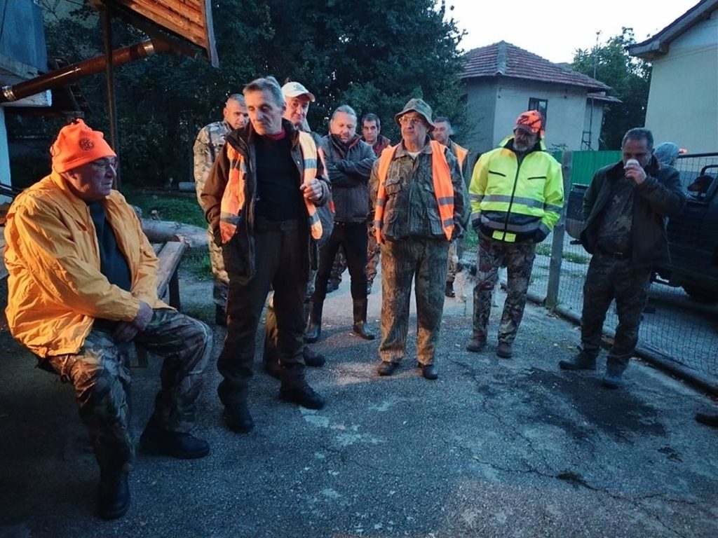 ярлово сезон