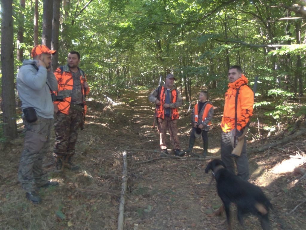 ярлово сезон