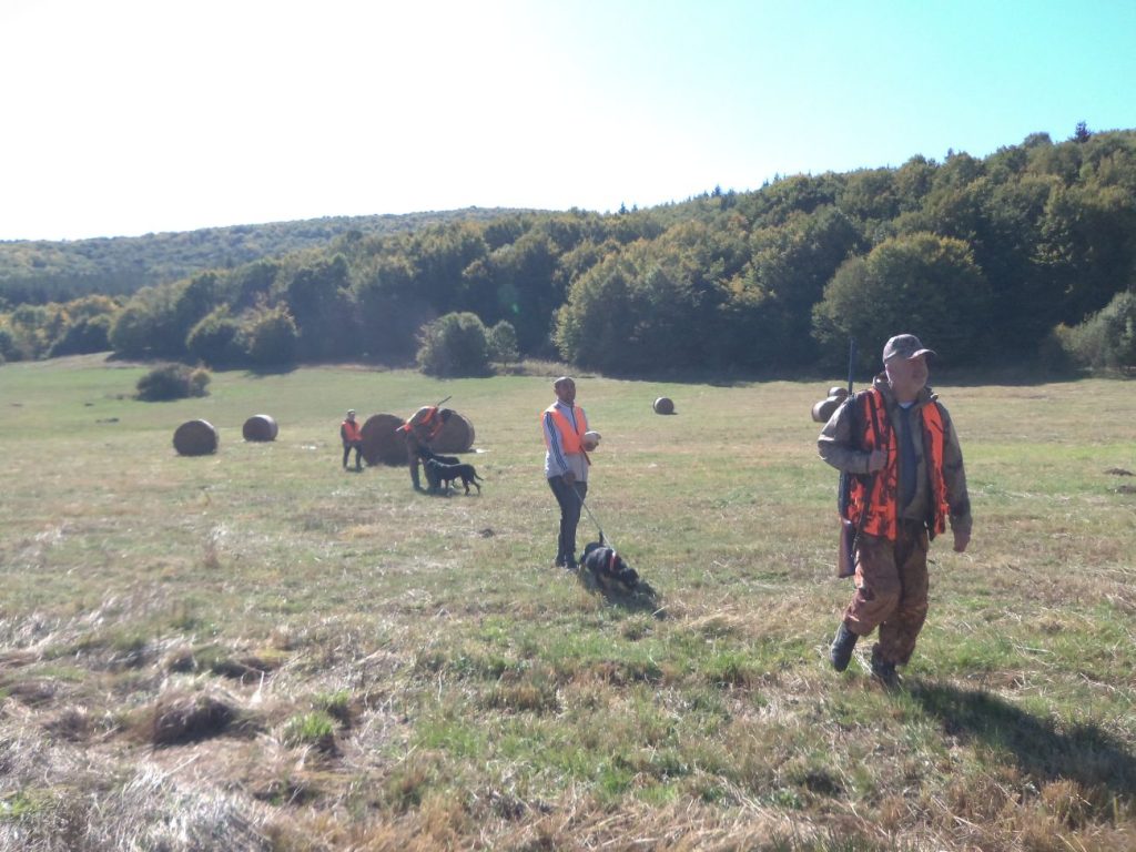 ярлово сезон