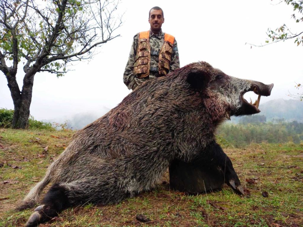 бял извор трофей