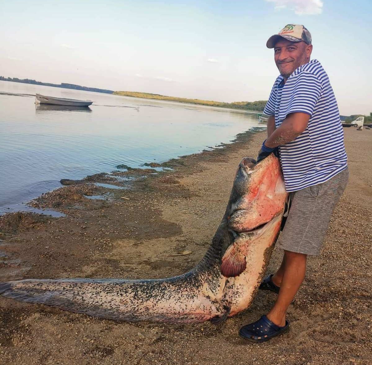 76 кг сом от Дунав