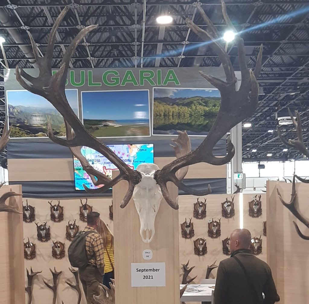 капитални будапеща