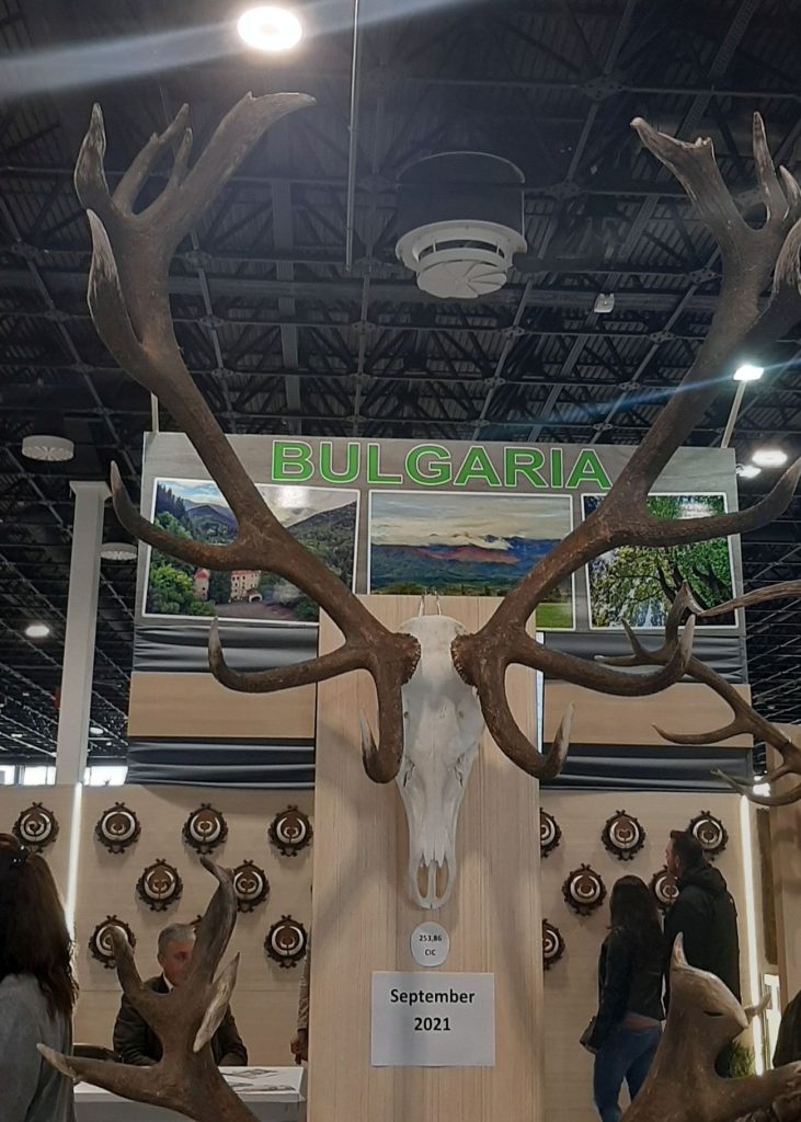 капитални будапеща