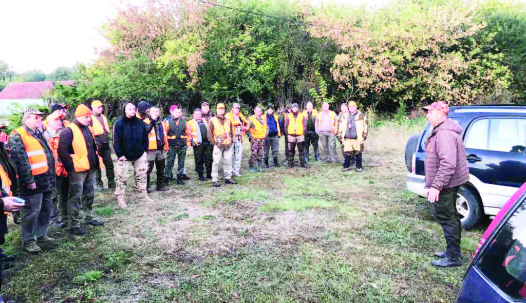 едър долна митрополия