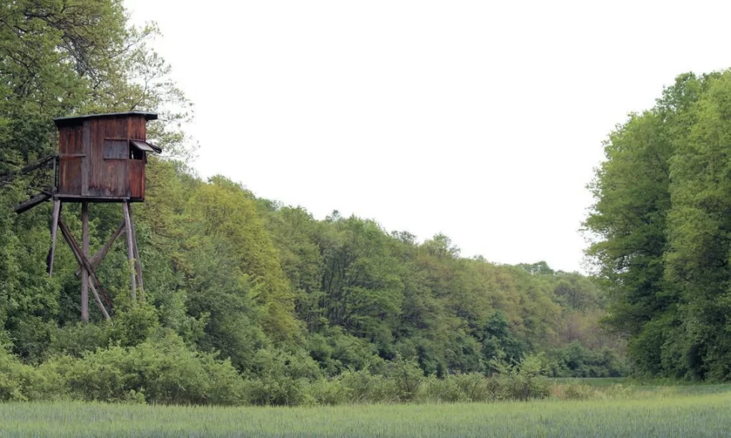 сръндак трофей рекорд