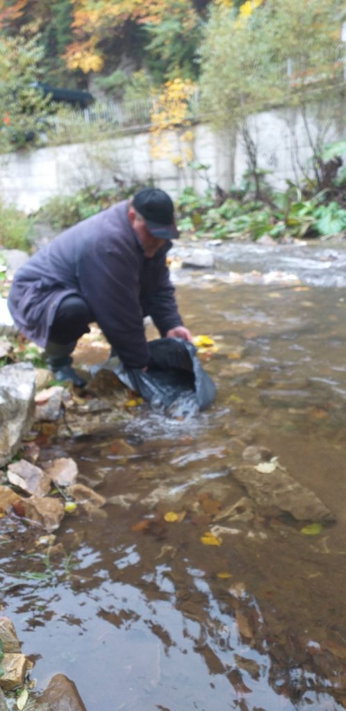 девин пъстърва