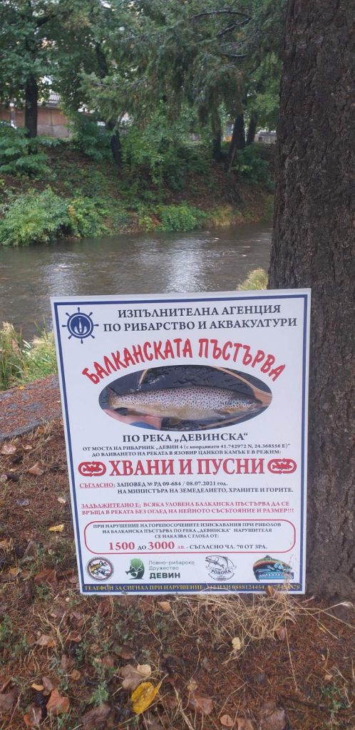 Девин пъстърва