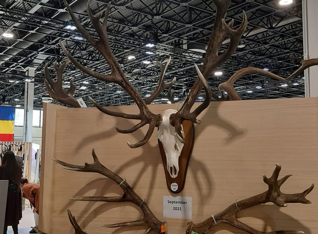 капитални будапеща