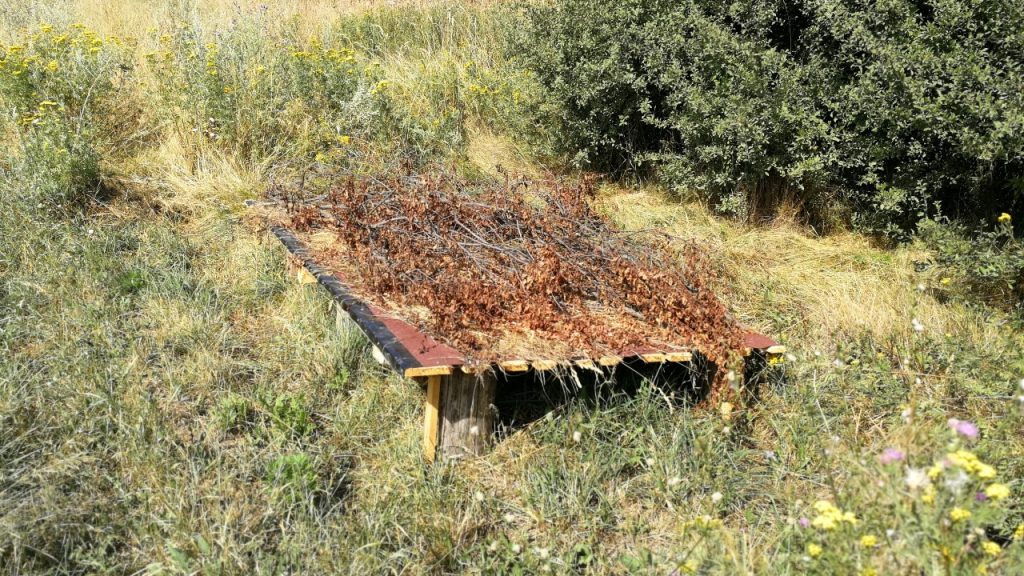 разселване пернат дивеч