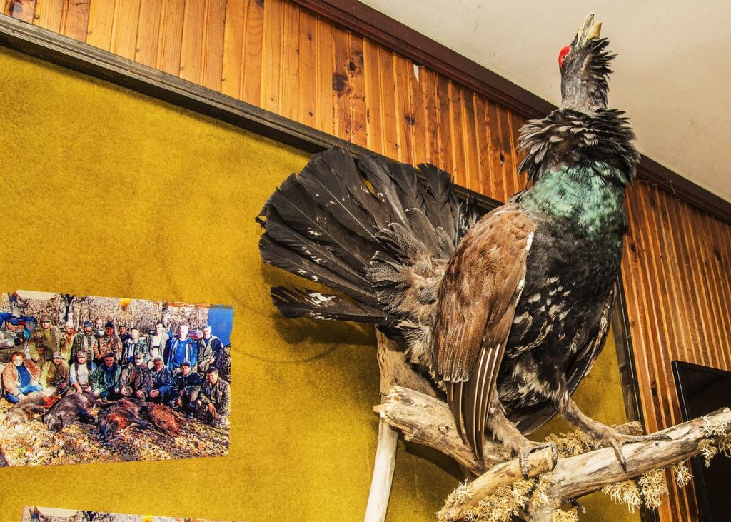 николово туризъм