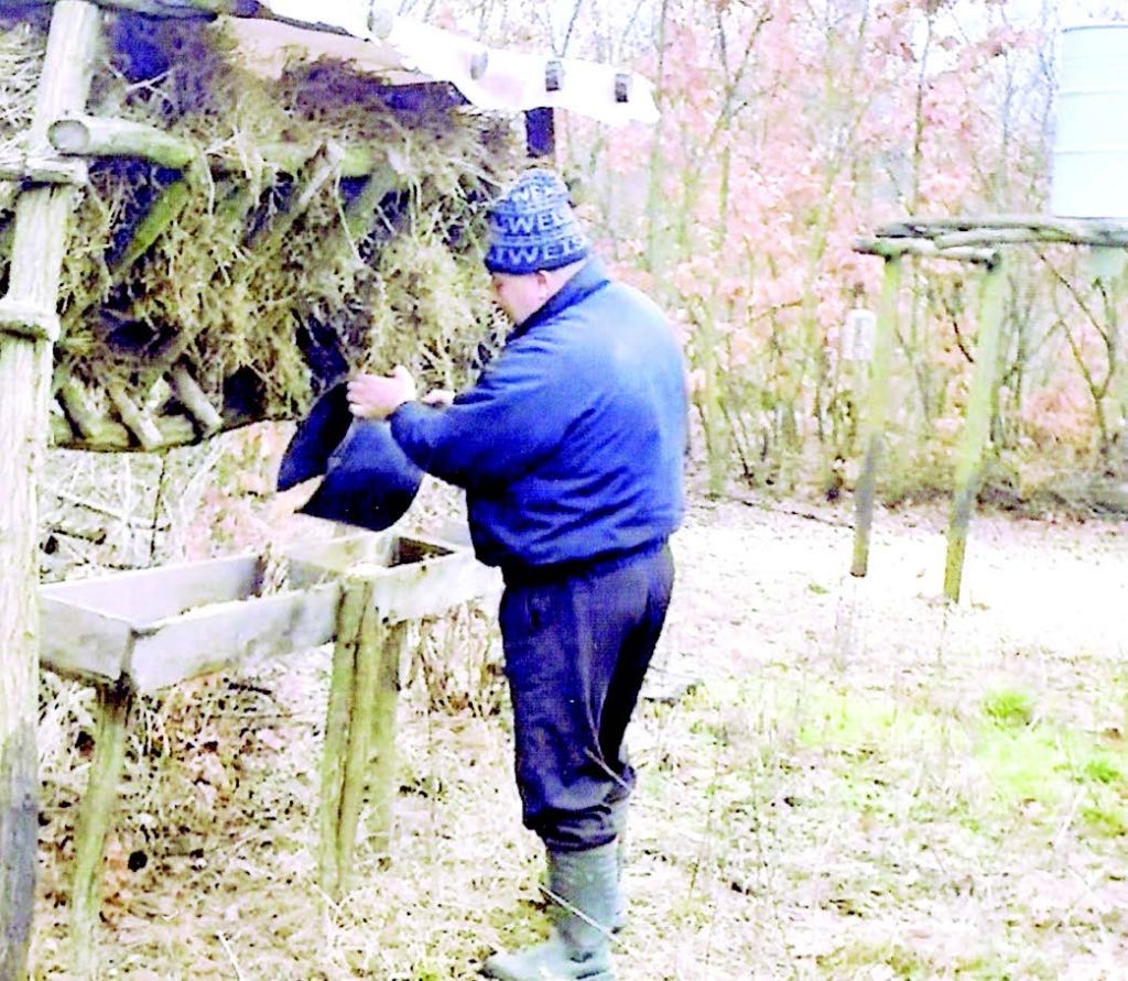 суворово хранилки